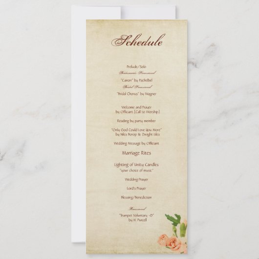 水彩画のモモのカーネーションのコーナー 招待状 (裏面)