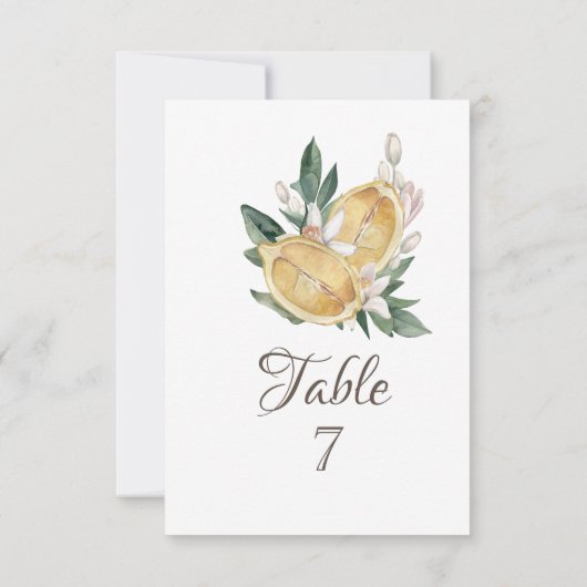 水彩画のレモン植物学 招待状 (裏面)