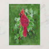 水彩画の基本的な鳥のヒイラギの果実のクリスマス シーズンポストカード (正面)