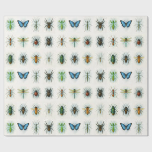 水彩画の昆虫コレクション 虫のアート ラッピングペーパー