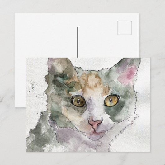 水彩画の猫 ポストカード (正面/裏面)