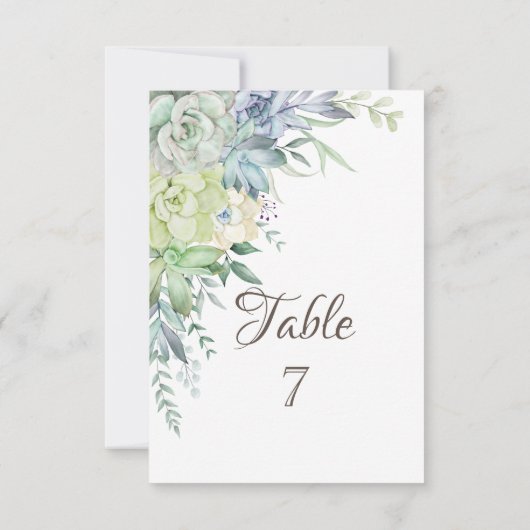 水彩画の砂漠の多肉植物 招待状 (裏面)