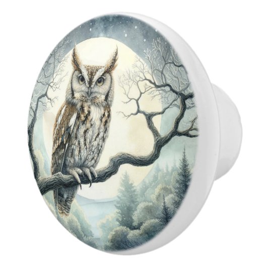 水彩画の絶叫フクロウ セラミックノブ (右)