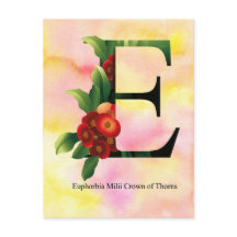 水彩画の背景との花のアルファベット