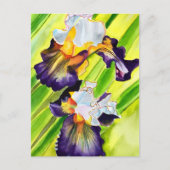水彩画の花 アイリス ポストカード (正面)