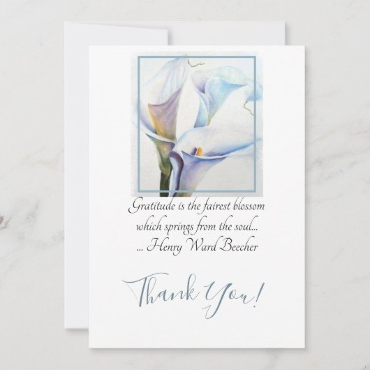 水彩画の豪華で白いオランダカイウユリ サンキューカード (正面)