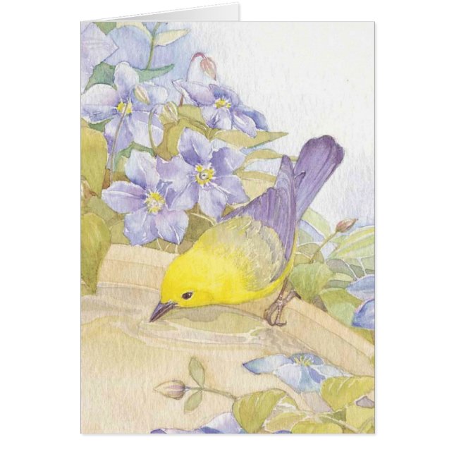 水彩画の鳥 (正面)