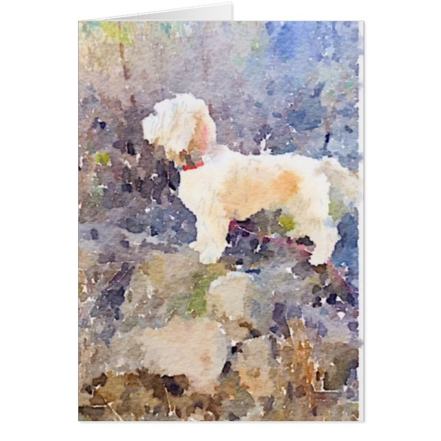 水彩画犬カード (正面)