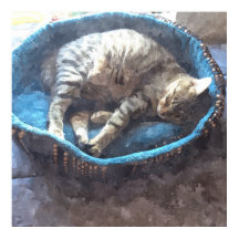 水彩画風のトラ猫の眠り キティの昼寝