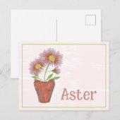 水彩画 アスターの花 9月 誕生日 ポストカード (正面/裏面)
