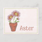 水彩画 アスターの花 9月 誕生日 ポストカード (正面)