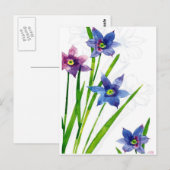 水彩画 ポストカード (正面/裏面)