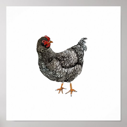 水彩画 黒と白の雌鳥 鳥の絵 ポスター (正面)