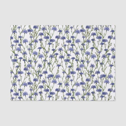 水彩白い背景の青いコーンフラワー 薄葉紙 (正面)