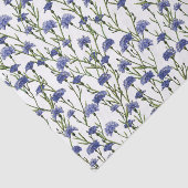 水彩白い背景の青いコーンフラワー 薄葉紙 (詳細)