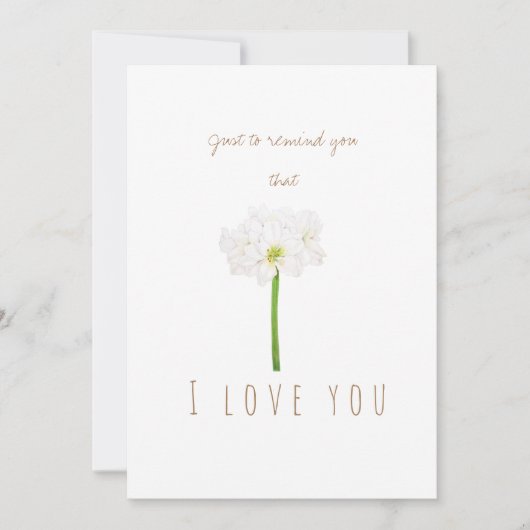 水彩白アマリリス花グリーティングカード 招待状 (正面)