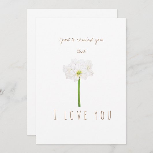 水彩白アマリリス花グリーティングカード 招待状 (正面/裏面)