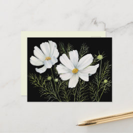 水彩白コスモス花ボタニカル絵を描ズ ポストカード