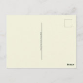 水彩白コスモス花ボタニカル絵を描ズ ポストカード (裏面)