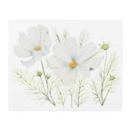 水彩白コスモス花ボタニカル絵を描ズ メタルプリント