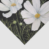 水彩白コスモス花ボタニカル絵を描ズ 薄葉紙 (詳細)