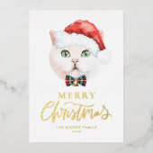 水彩白ブリティッシュショートヘア猫クリスマス 箔シーズンカード (正面)