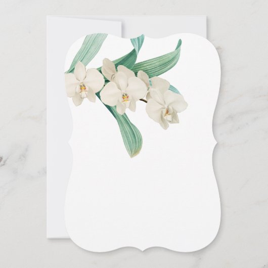 水彩白蘭の花のウェディングデザイン 招待状 (裏面)