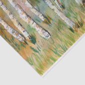 水彩秋の《植物》アスペン木 薄葉紙 (詳細)