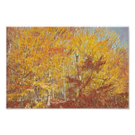 水彩秋飼料 フォトプリント           