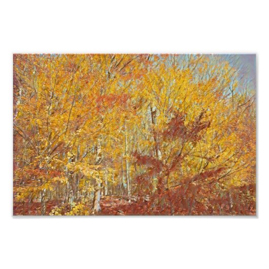 水彩秋飼料 フォトプリント            (正面)