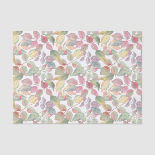 水彩紅葉植物学自然 薄葉紙 (正面)