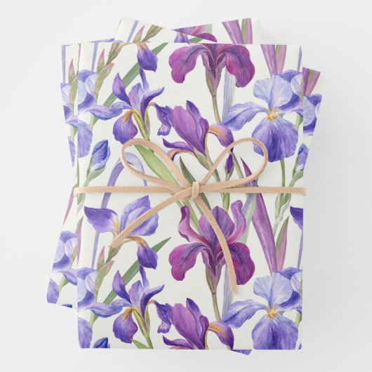 水彩紫菖蒲の花 ラッピングペーパーシート (インサイチュ)
