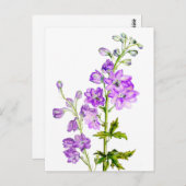 水彩絵葉書の紫のデルフィニウム ポストカード (正面/裏面)