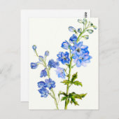 水彩絵葉書の青いデルフィニウム ポストカード (正面/裏面)