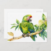 水彩緑のオウムの木の枝 ポストカード (正面/裏面)