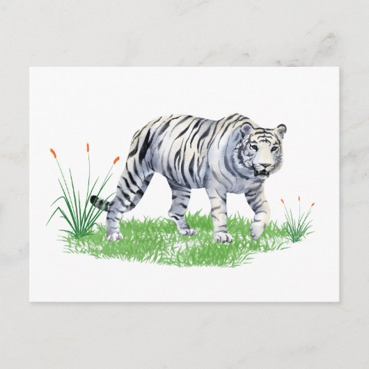 水彩美しいホワイトタイガー ポストカード (正面)