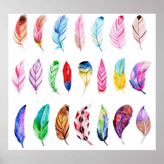 水彩羽:美しいコレクションヴィンテージ。 ポスター (正面)