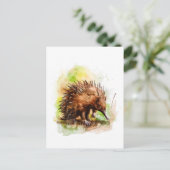 水彩自然環境のEchidna ポストカード (スタンド正面)