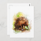 水彩自然環境のEchidna ポストカード (正面/裏面)