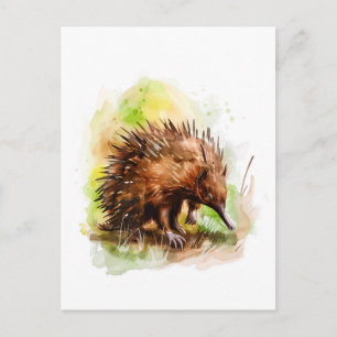 水彩自然環境のEchidna ポストカード