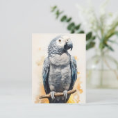 水彩色の灰色のオウム シーズンカード (スタンド正面)