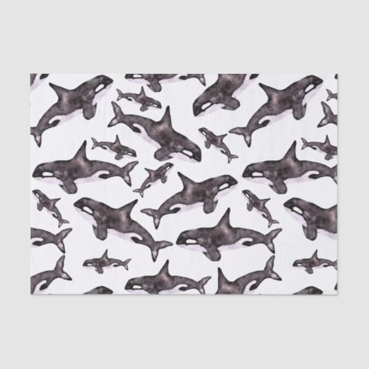 水彩色オルカ 薄葉紙 (正面)