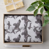 水彩色オルカ 薄葉紙 (ギフト)