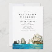 水彩色カボサンルーカスメキシコトロピカルバチェラーツ 招待状 (正面)