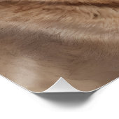 水彩色クーガーno 4 ポスター (コーナー)