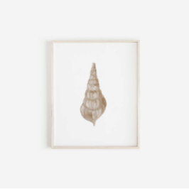 水彩色ベージュシーシェルプリント ポスター