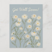 水彩花卉 白色雏菊 花市 ポストカード (正面)