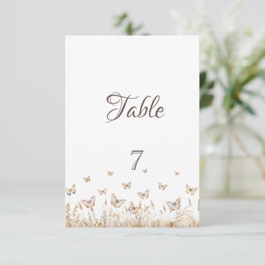 水彩草蝶 招待状 (スタンド正面)