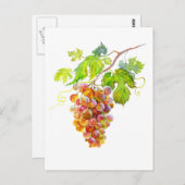 水彩葡萄の束。アートはがき ポストカード (正面/裏面)