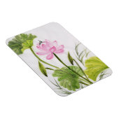 水彩蓮絵画花2 マグネット (右側)